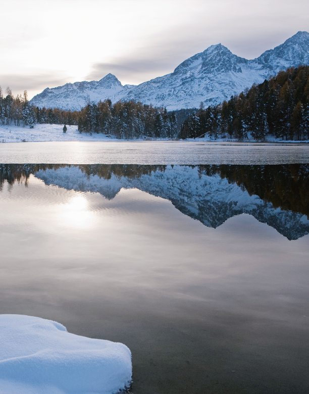 Reference: stw7661 Title: SWITZERLAND - WINTER Caption: Switzerland. get natural. Winter dusk at Lake Staz near St. Moritz in the Upper Engadin, Canton Graubuenden. Schweiz. ganz natuerlich. Winterabend am Stazersee (Lej da Staz) bei St. Moritz im Oberengadin, Graubuenden.  Suisse. tout naturellement. Crepuscule d'hiver sur le lac de Staz pres du St. Moritz en Haute-Engadine, les Grisons.  Copyright by: Switzerland Tourism By-Line: swiss-image.ch/Christof Sonderegger