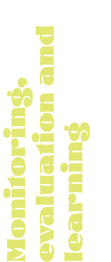 Monitoring, evaluation and learning 