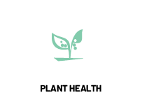 Plant Healt