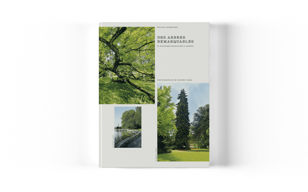 «Des arbres remarquables»