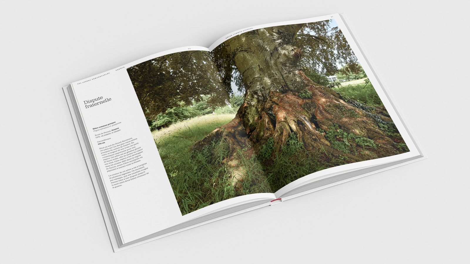LN-Des-Arbres-remarquables-livre-02